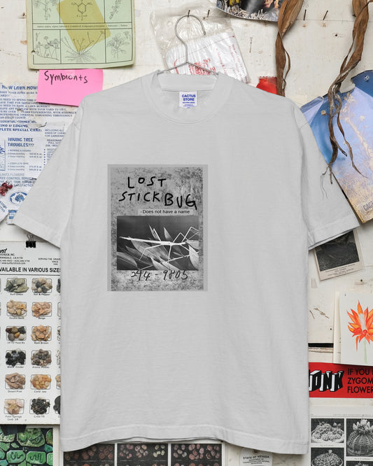 Lost Stick Bug (Cement)