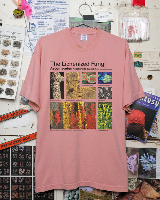 Taxa Shirt 3: The Lichens