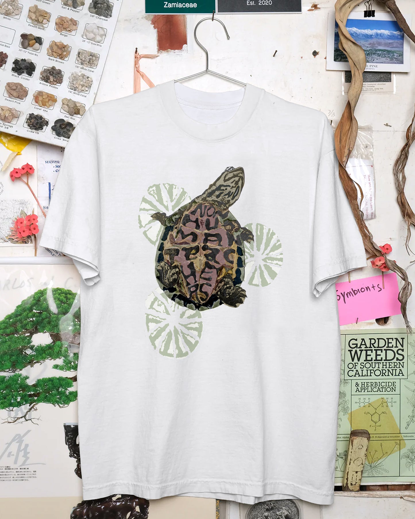 Find Nonhuman Teachers 5: Red-eared slider (White)