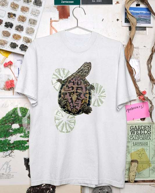 Find Nonhuman Teachers 5: Red-eared slider (White)