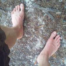Barefoot Rockhounds of the Eastern Sierras