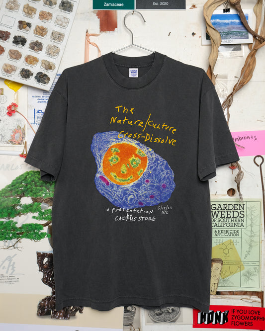 The Nature/Culture Cross-Dissolve