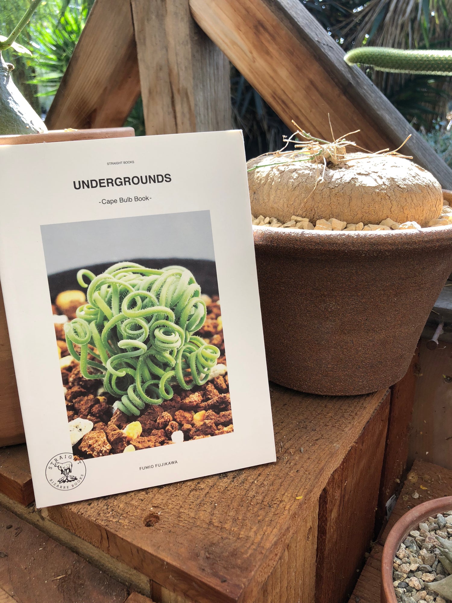 Undergrounds - Cape Bulb Book