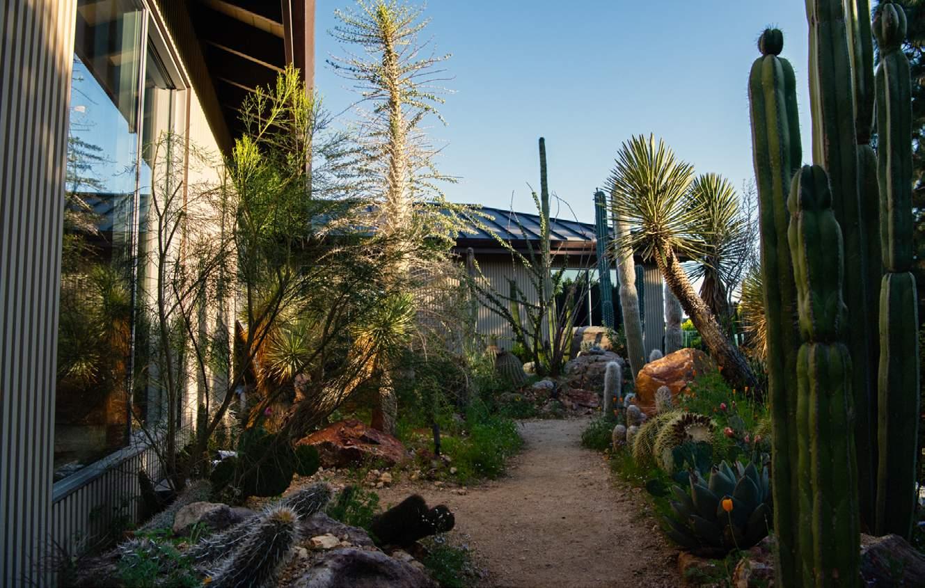 Mayer Desert Garden