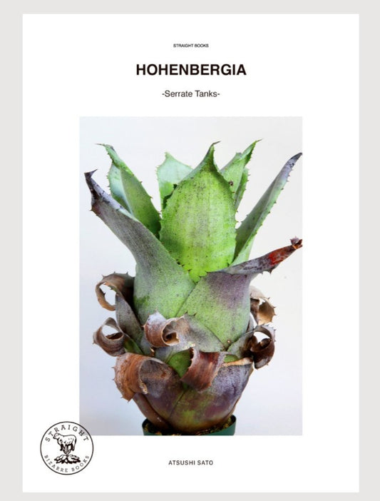 Hohenbergia - Serrate Tanks