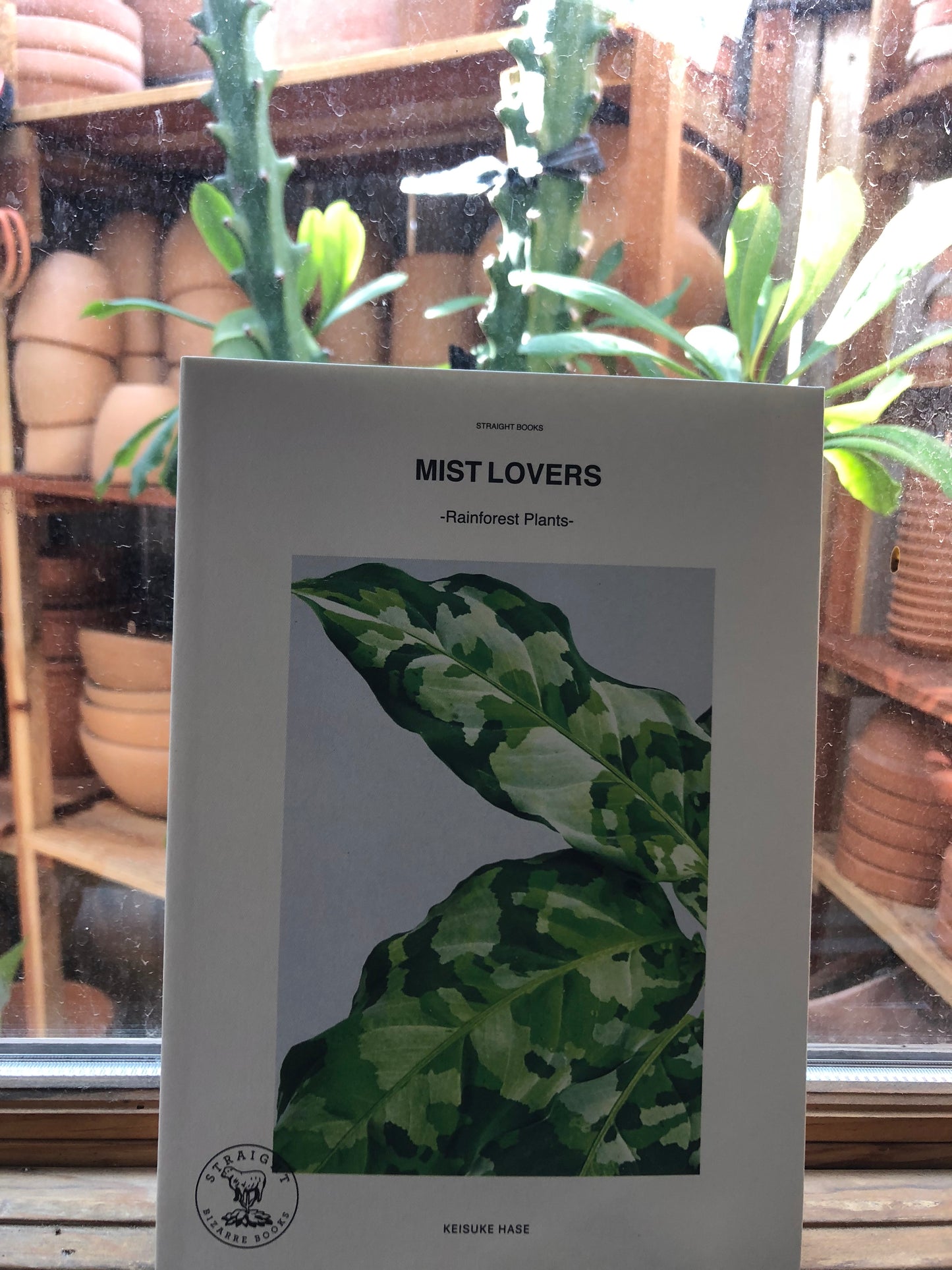 Mist Lovers - Rainforest Plants