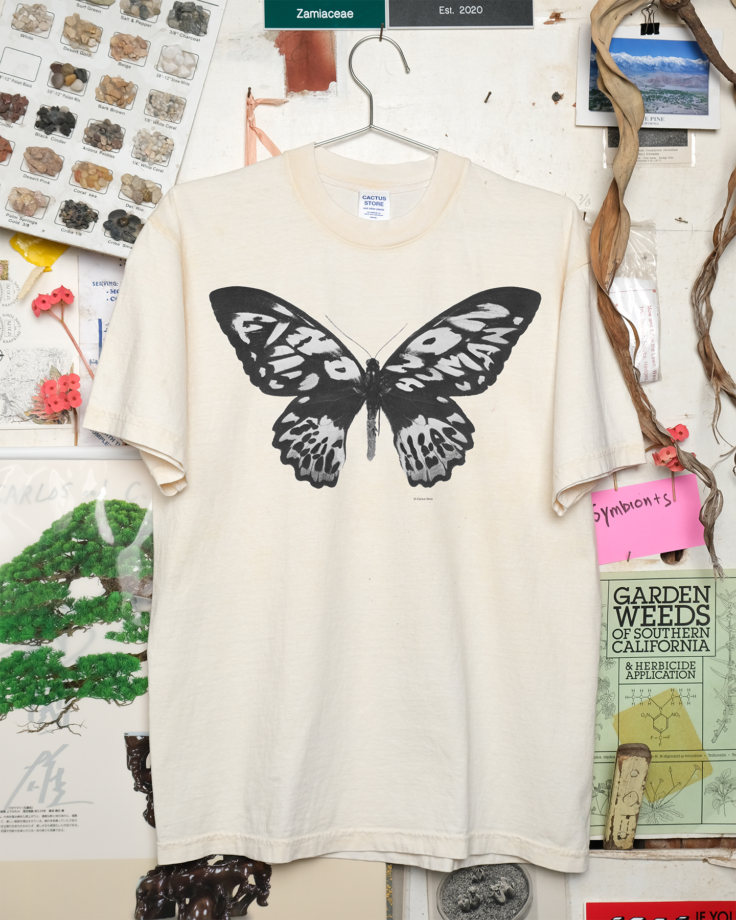 Find Nonhuman Teachers 2: Butterfly Shirt