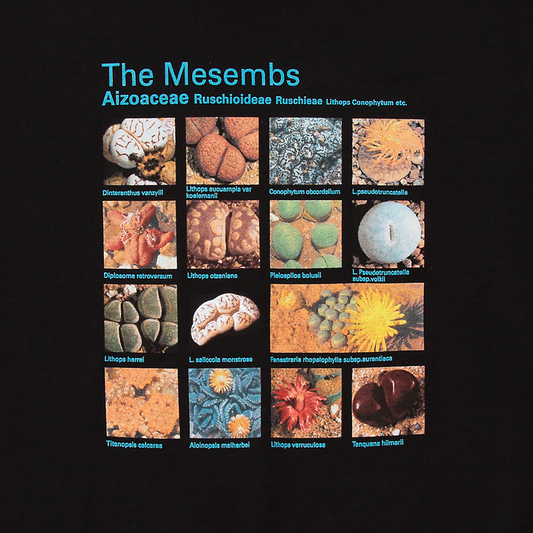 Taxa Shirt 1: The Mesembs