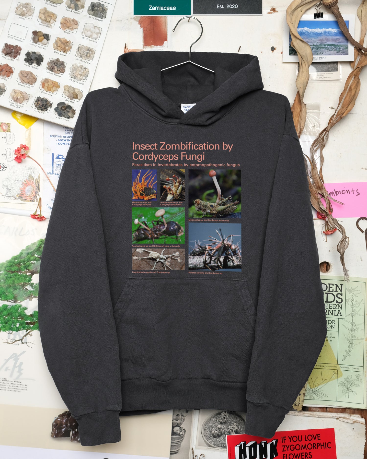 Taxa Shirt 9: Insect Zombification by Cordyceps Fungi (Sweatshirt)