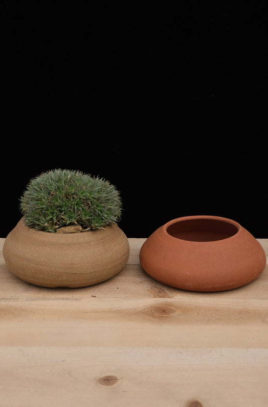 Cow Pie Pot