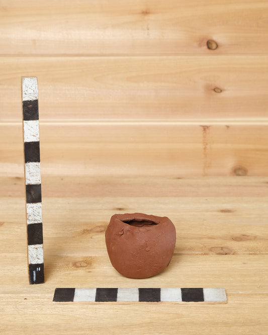 Melting Snowman 4/17