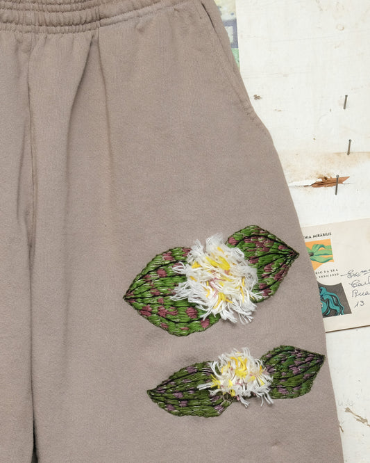 Massonia pustulata (M) Sweatpants