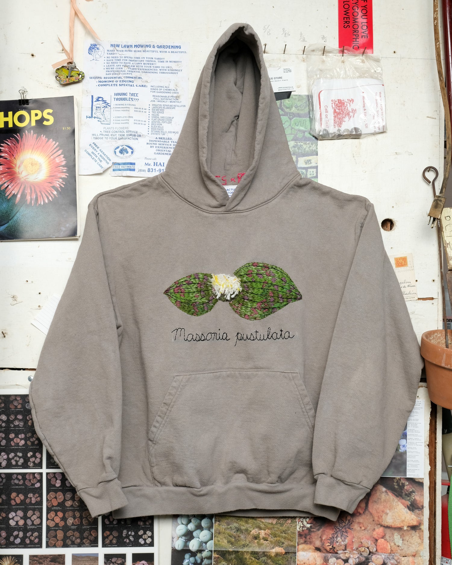 Massonia pustulata (L) Hooded Sweatshirt