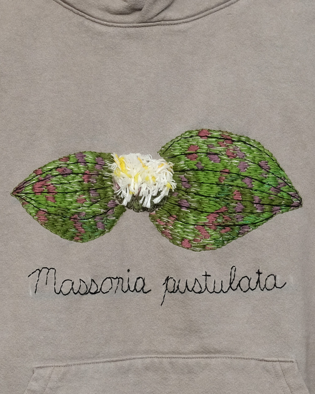 Massonia pustulata (L) Hooded Sweatshirt