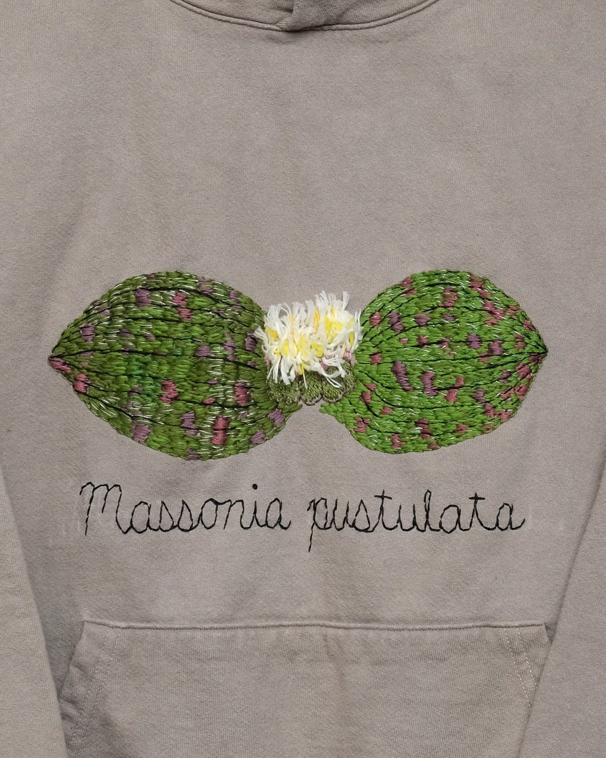 Massonia pustulata (2XL) Hooded Sweatshirt