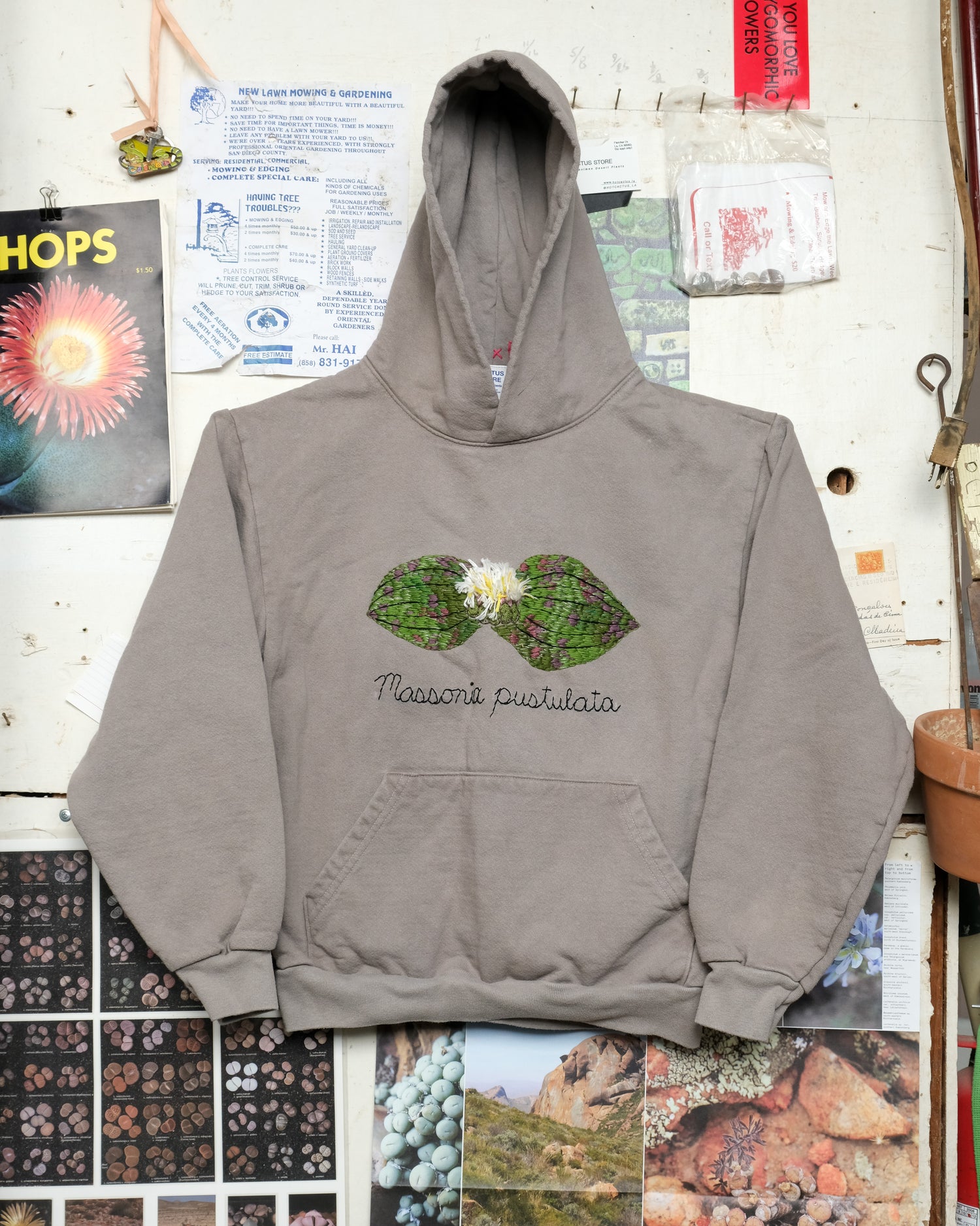 Massonia pustulata (S) Hooded Sweatshirt