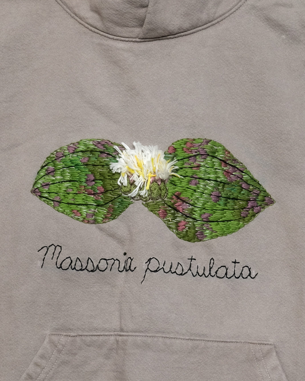Massonia pustulata (S) Hooded Sweatshirt