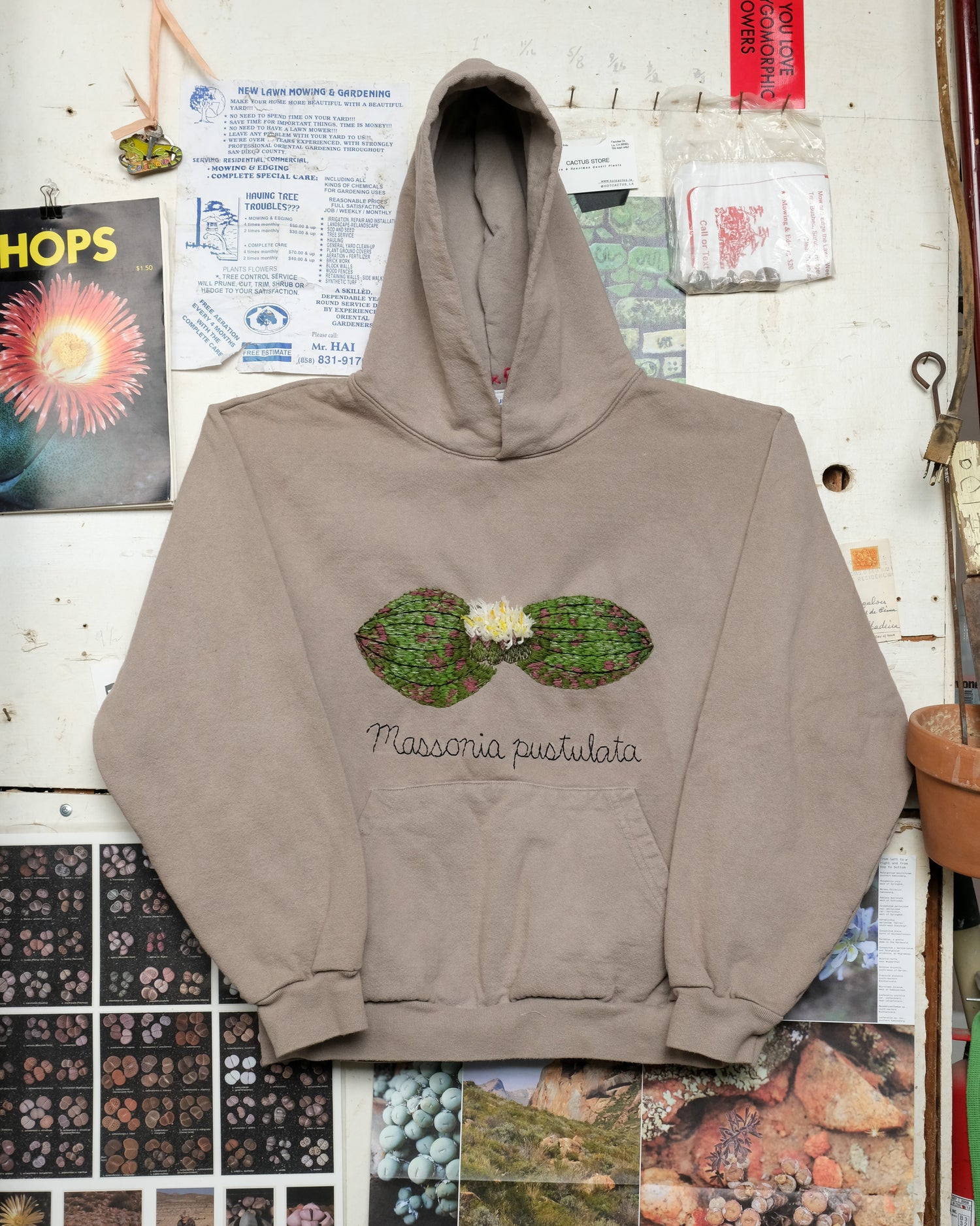 Massonia pustulata (M) Hooded Sweatshirt