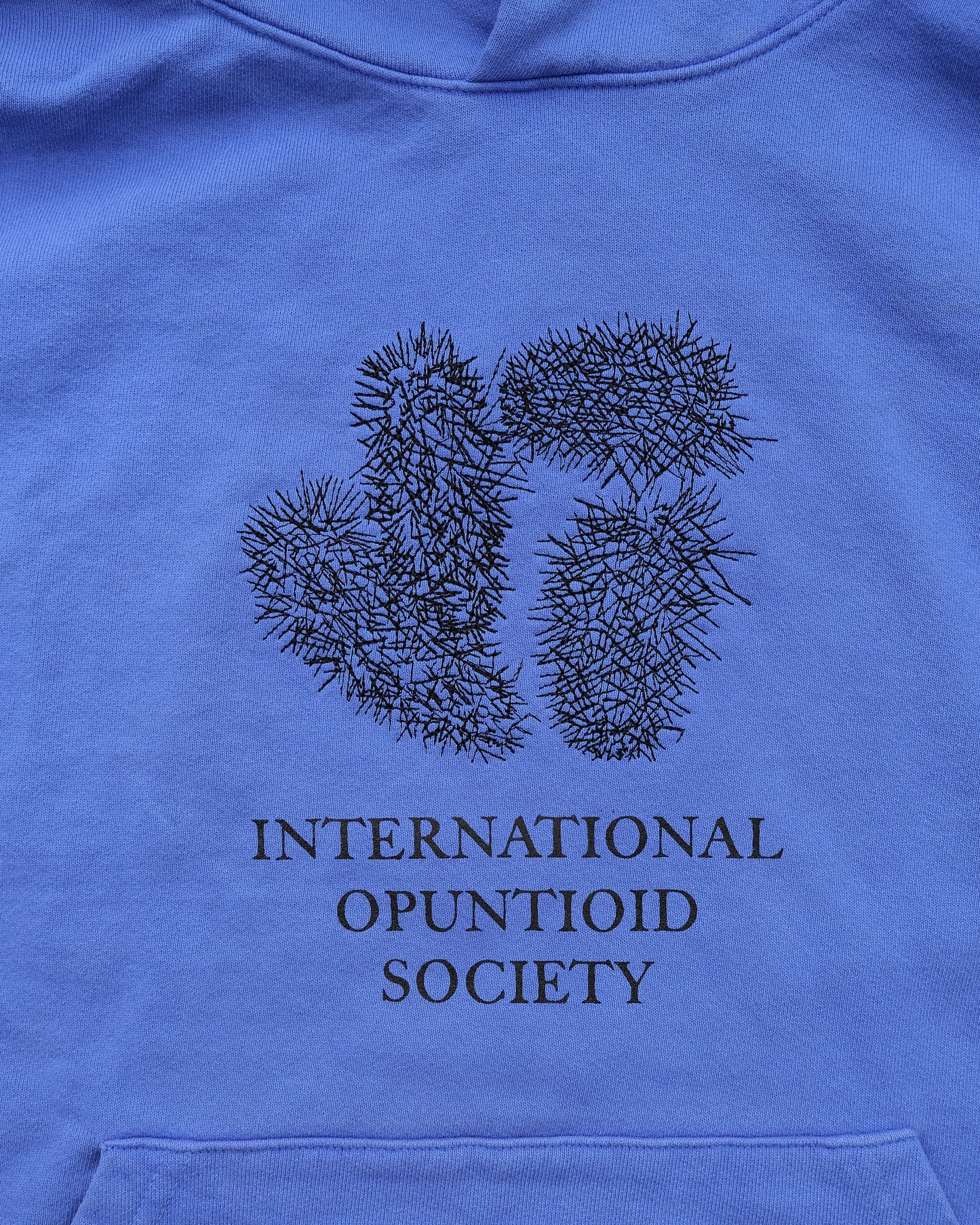 International Opuntioid Society Hooded Sweatshirt