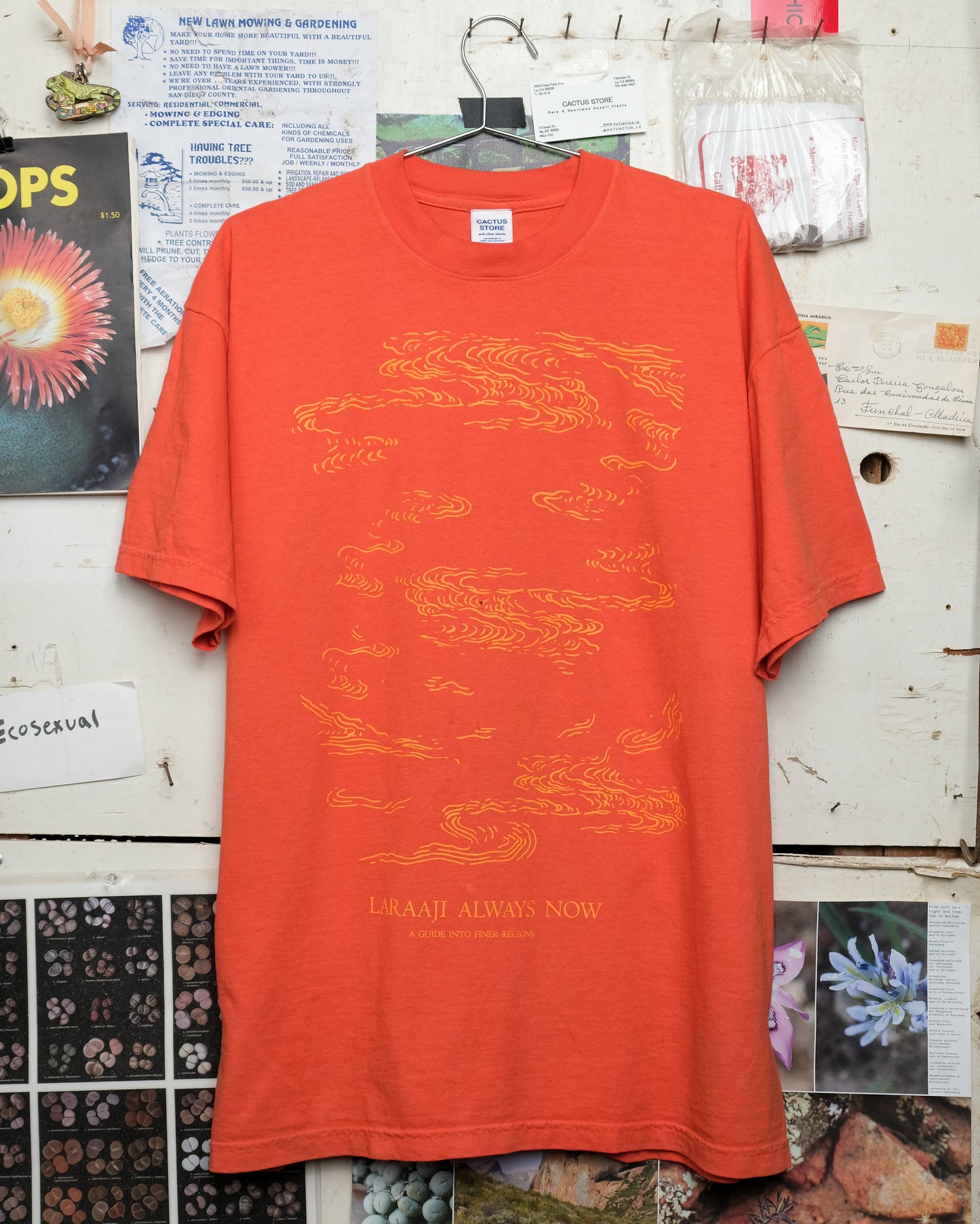 Laraaji Live at CSNY T-Shirt