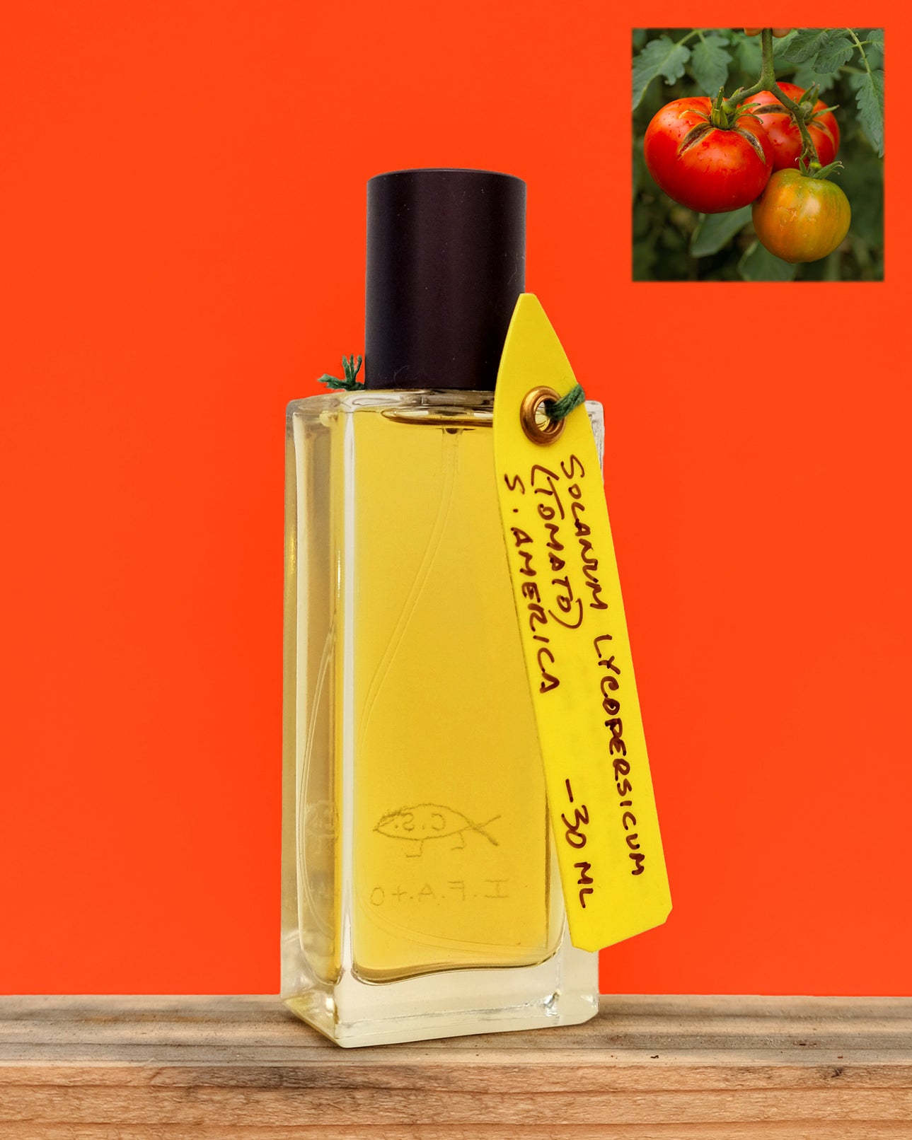 Solanum lycopersicum perfume