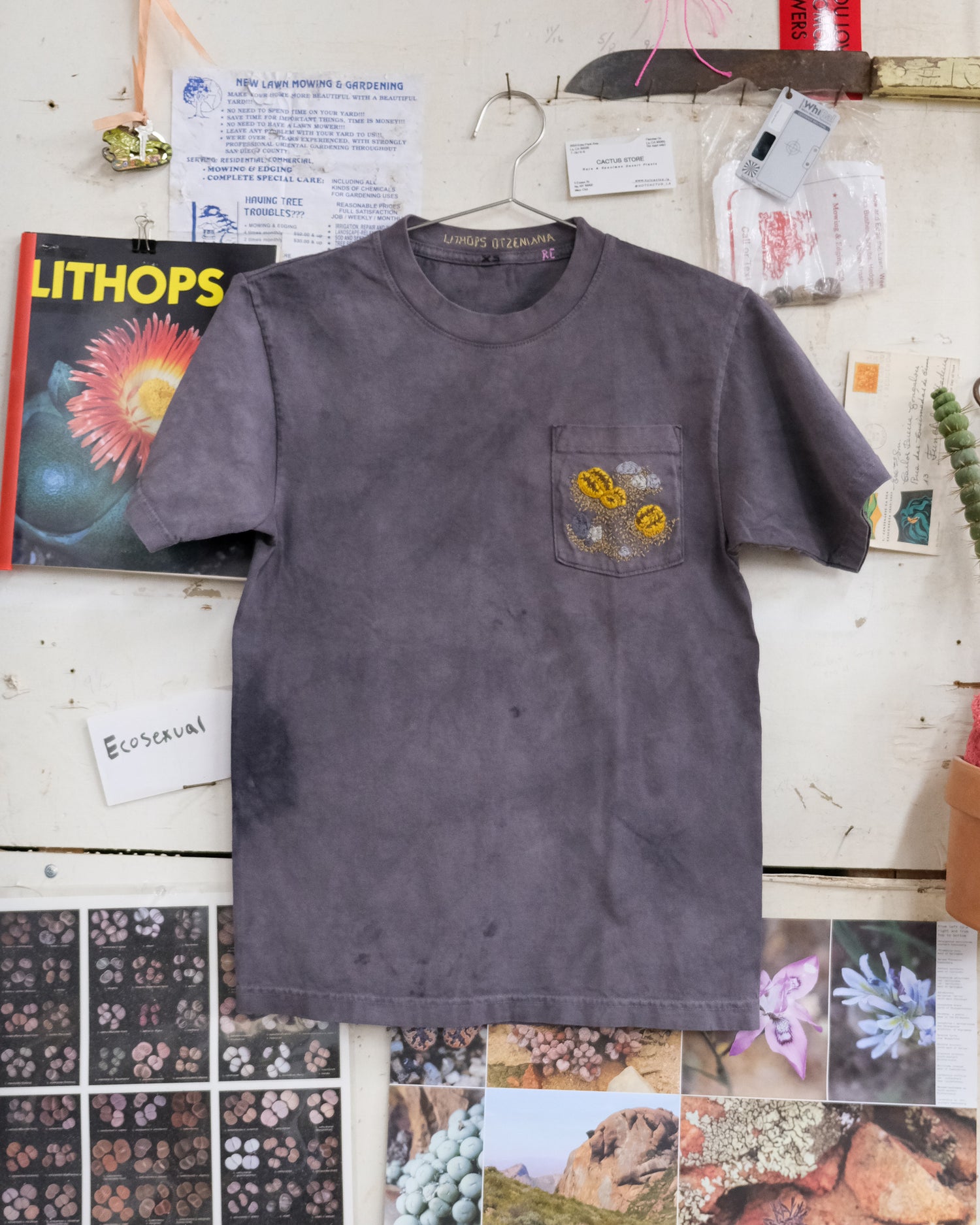 Lithops otzeniana (XS) Shirt
