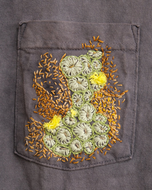 Conophytum flavum (XL) Shirt