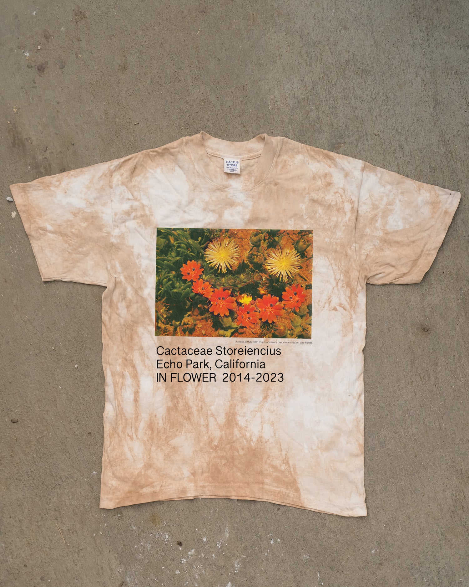 IN FLOWER 2014-2023 – Cactaceae Storeiencius