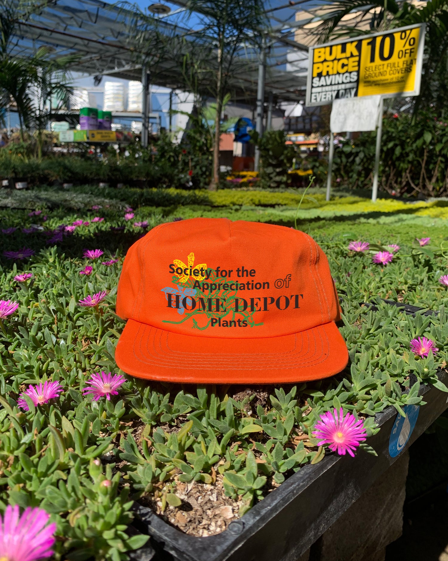 Society for the Appreciation of HD Plants Hat