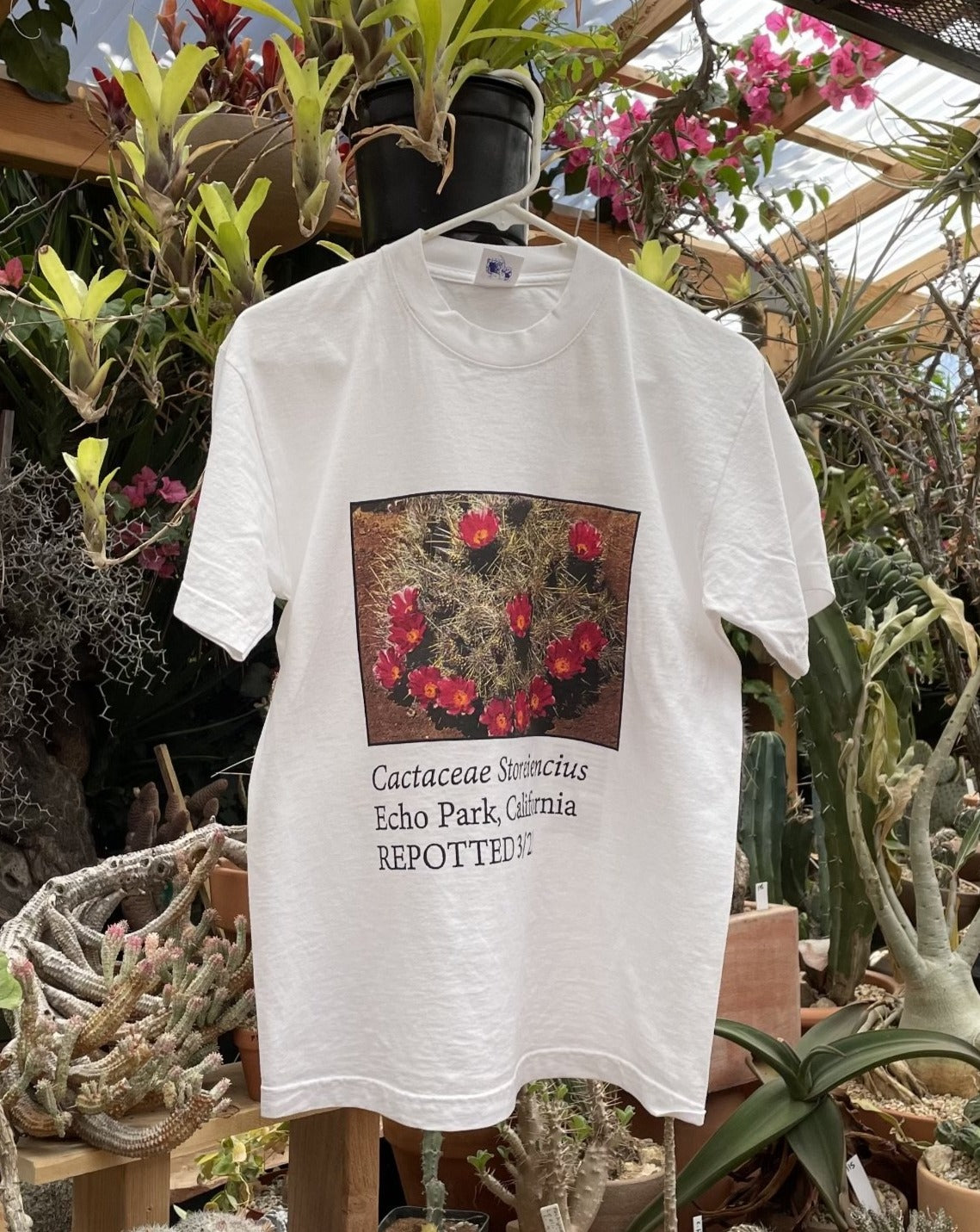 Repotted Echo Park Shirt
