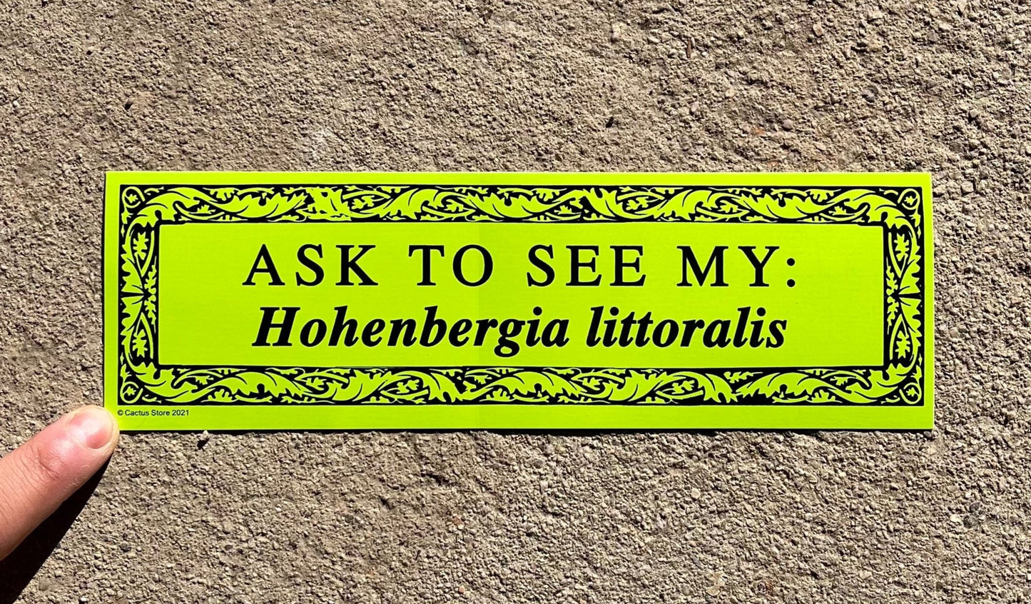 Ask To See My... Bumper Sticker