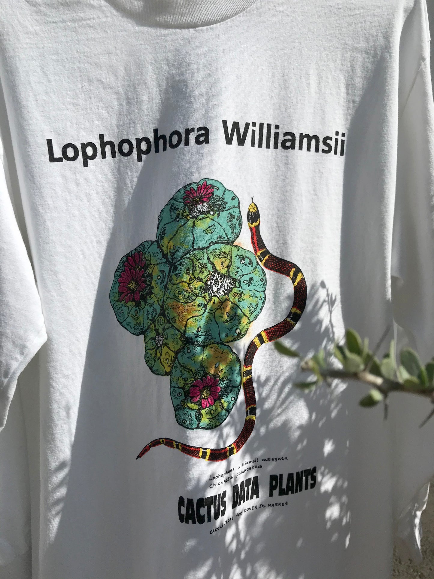Lophophora williamsii (Variegated) Long Sleeve T-Shirt