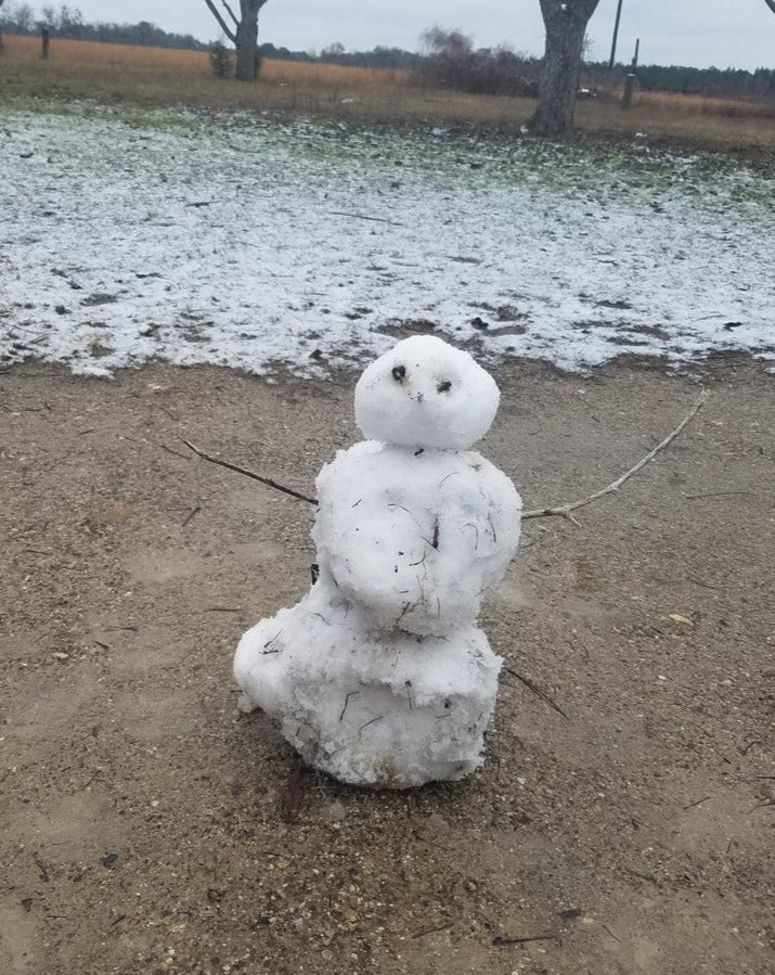 Melting Snowman 2/17