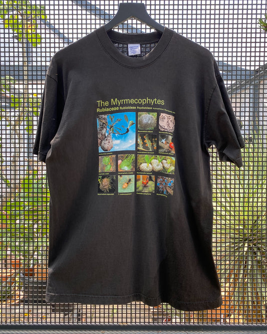 Taxa Shirt 6: The Myrmecophytes