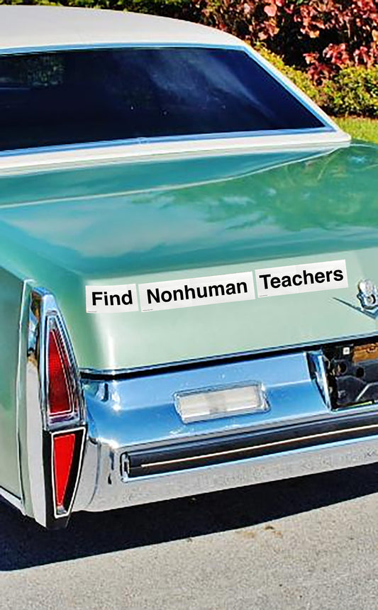 Find Nonhuman Teachers (3-Part) Bumper Sticker