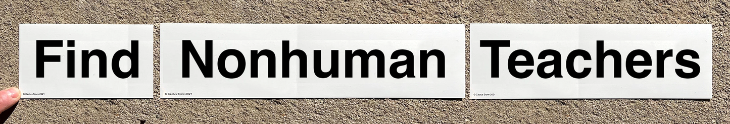 Find Nonhuman Teachers (3-Part) Bumper Sticker