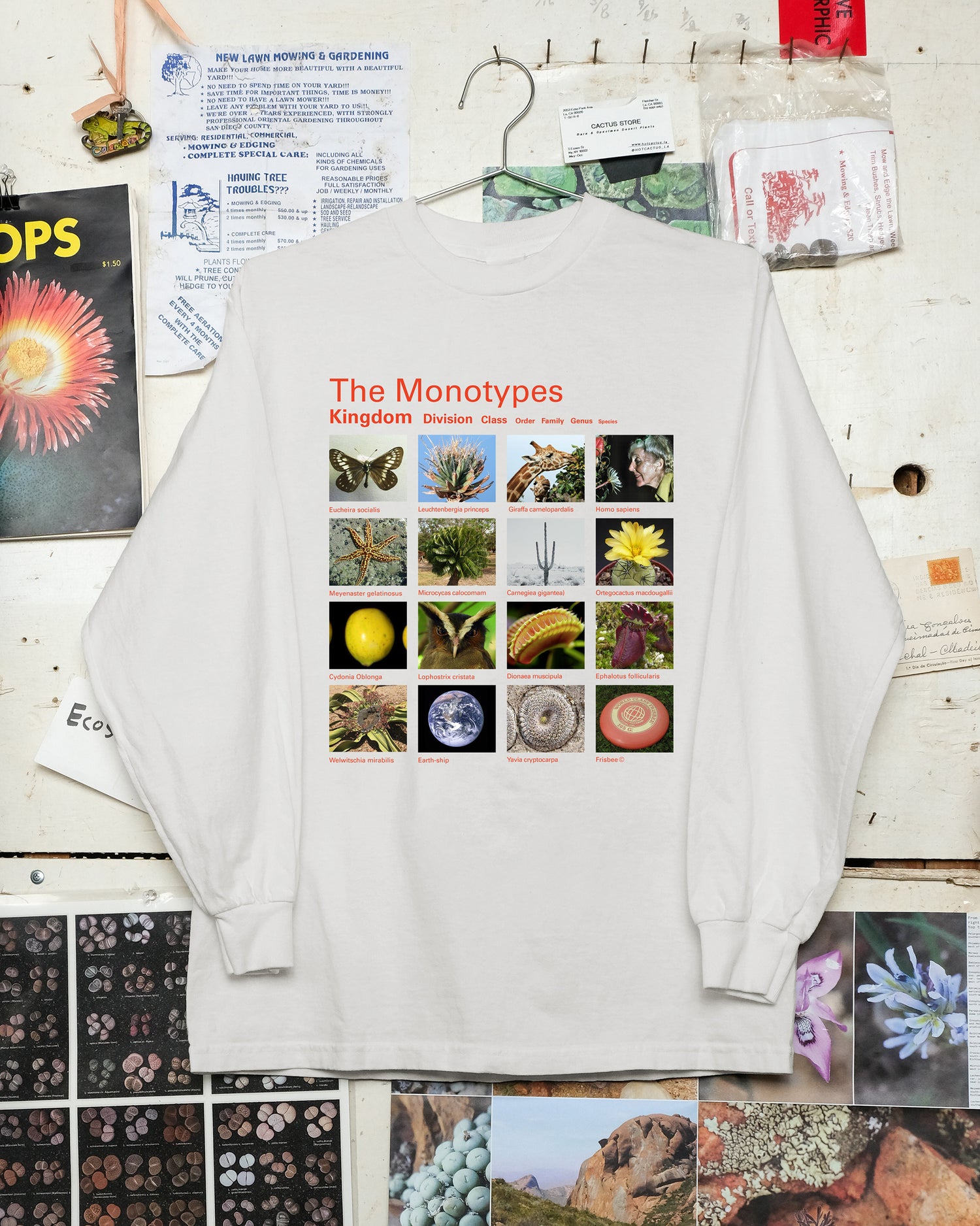 Taxa Shirt 10: The Monotypes