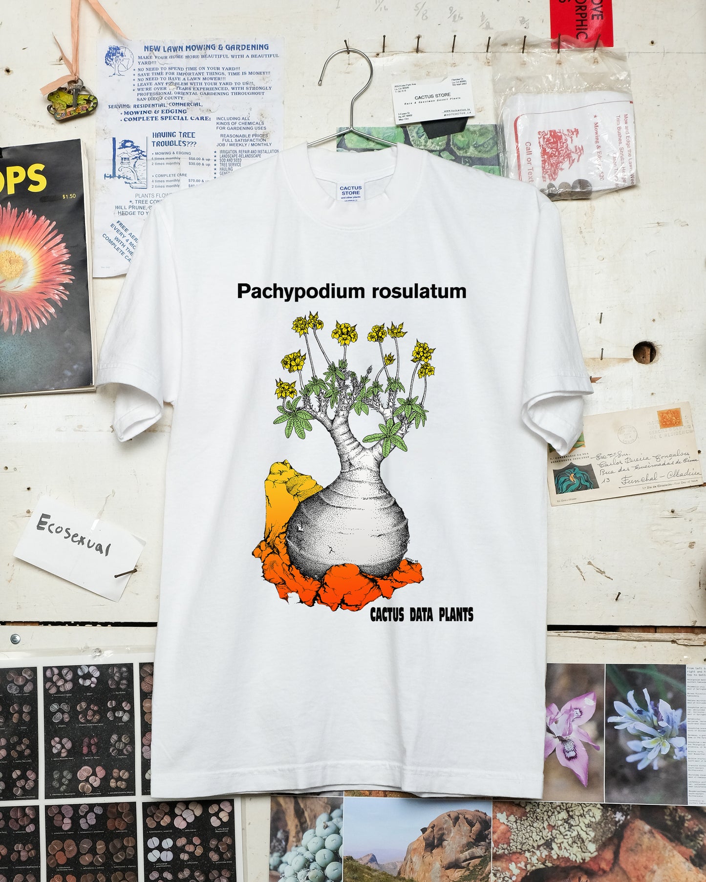 Pachypodium rosulatum T-shirt (W.M. Reprint)