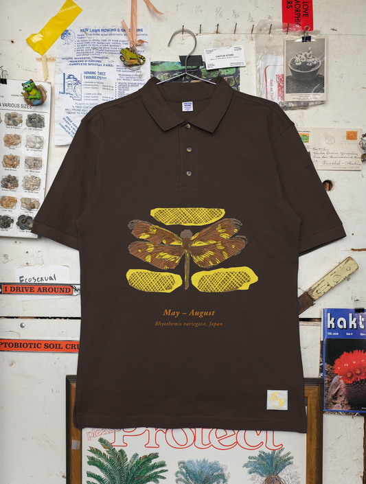 Rhyothemis Variegata Polo