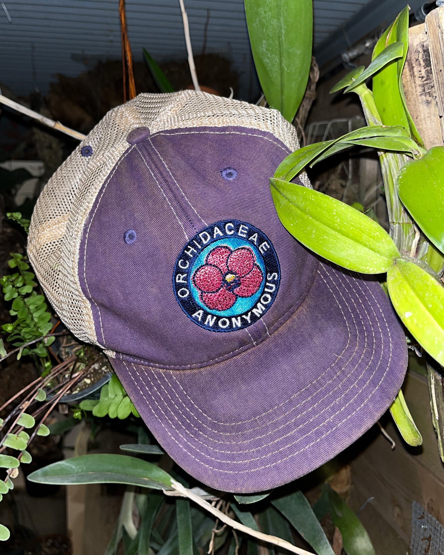Orchidaceae Anonymous Hat