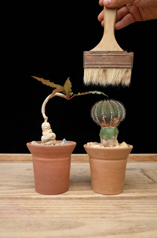 Pilgrim pot