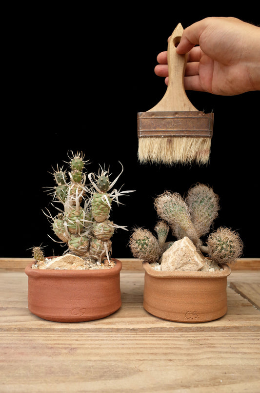 Square Circle pot