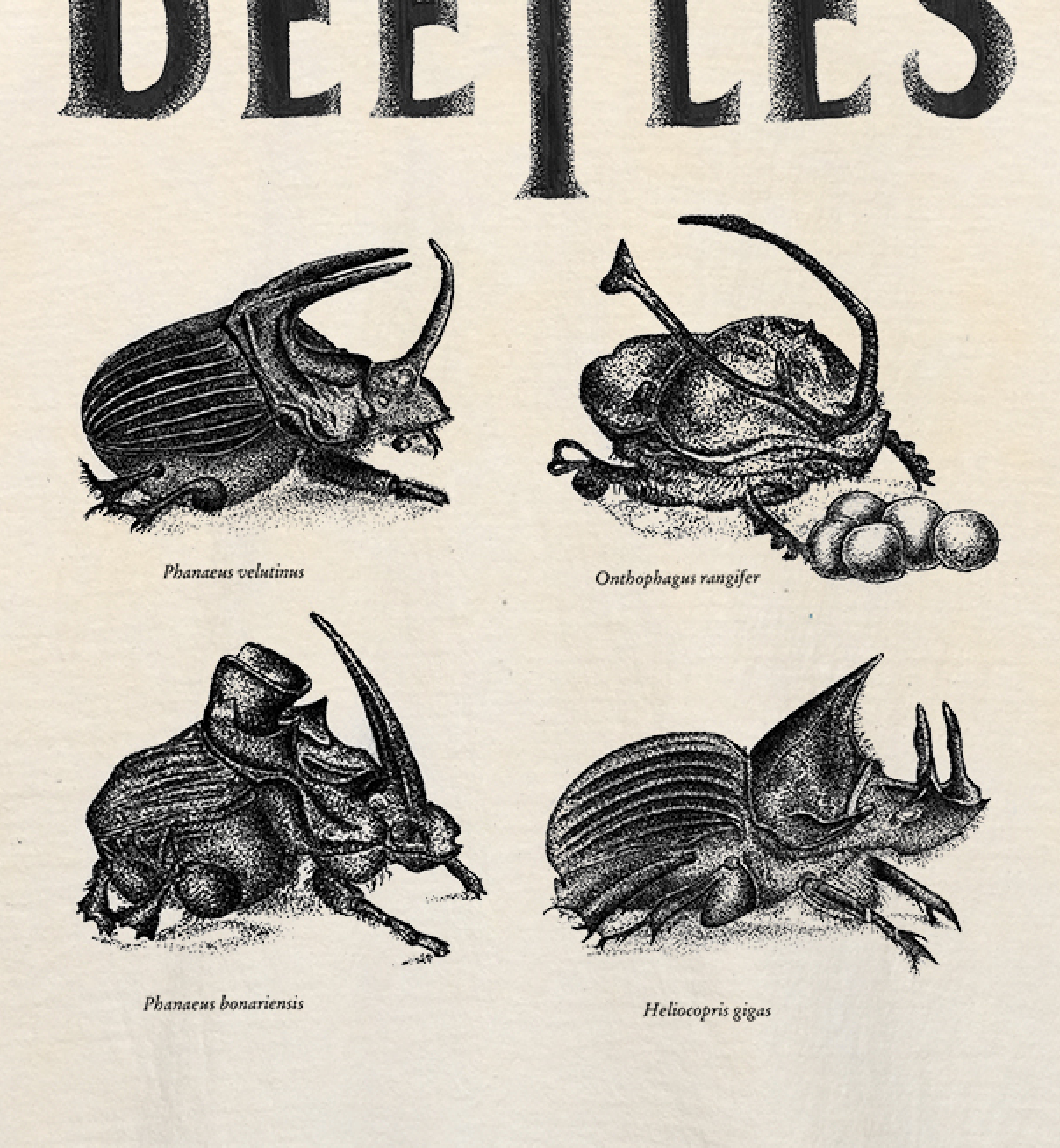 The Dung Beetles T-Shirt