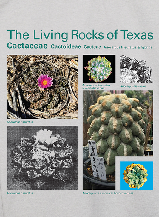 Taxa Shirt 12: The Living Rocks of Texas