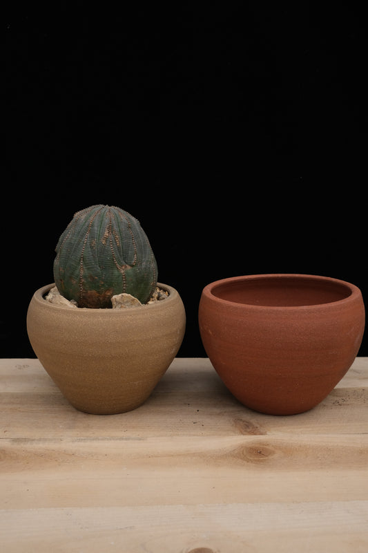 Urn Pot