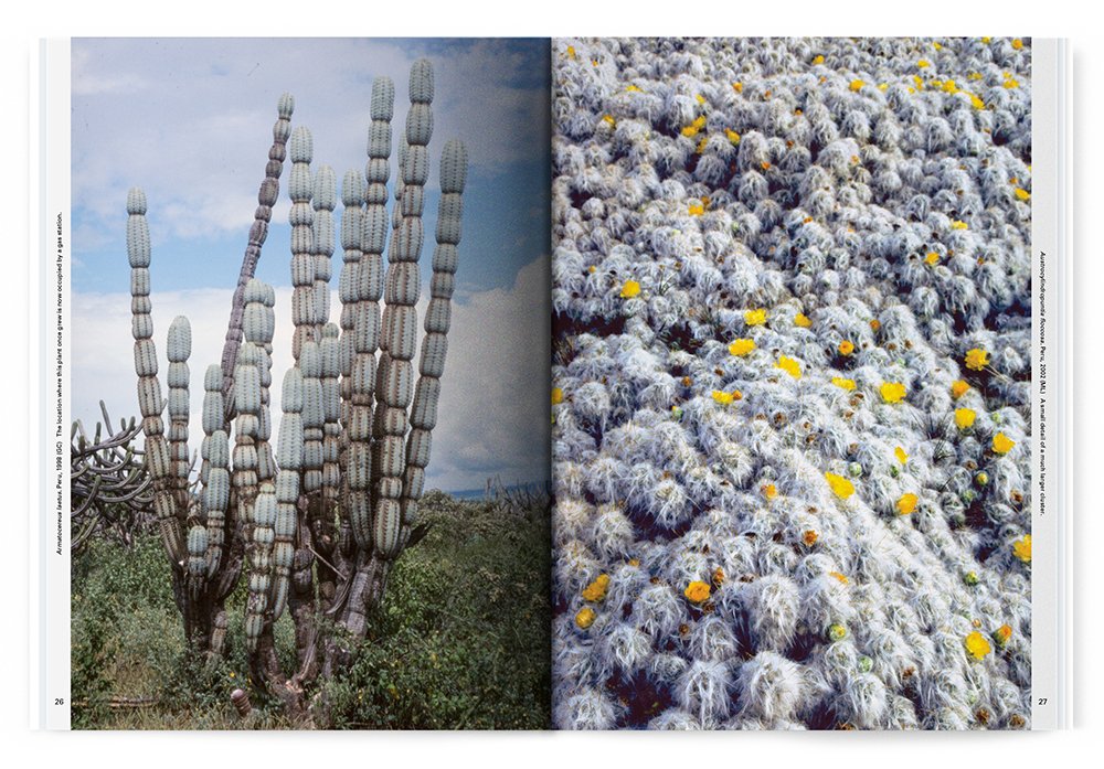 Xerophile: Cactus Photographs from Expeditions of the Obsessed (Revised Edition)