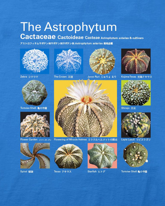 Taxa Shirt 4: The Astrophytum (asterias)