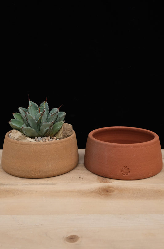 Dog Bowl Pot