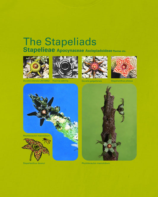 Taxa Shirt 8: The Stapeliads