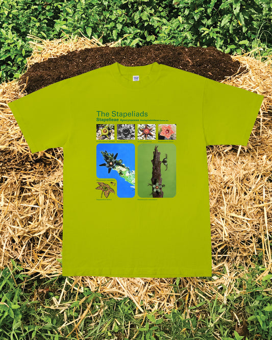 Taxa Shirt 8: The Stapeliads